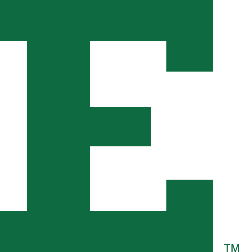 Eastern Michigan Eagles 1995-2001 Alternate Logo diy iron on heat transfer